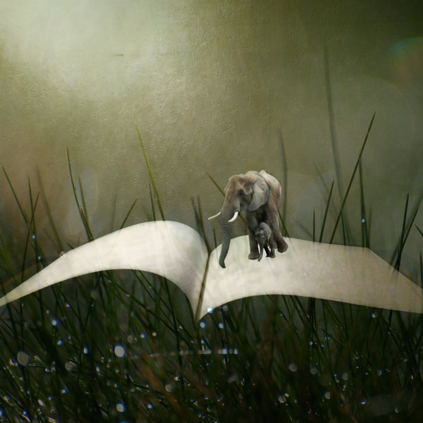 Mother and baby elephant on a book.