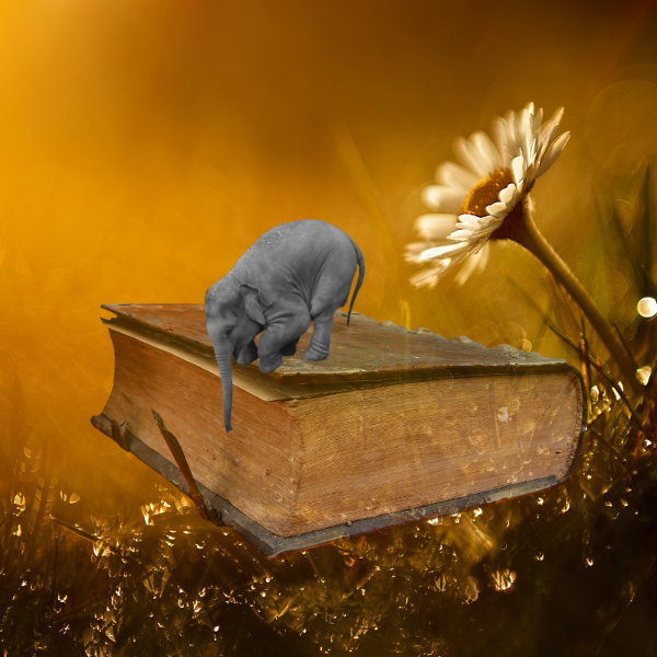 Baby Elephant on a book.