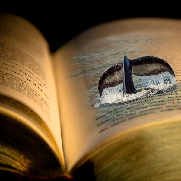 Whale diving into book.